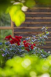Day Spa Massage & Hot Towel Treatments