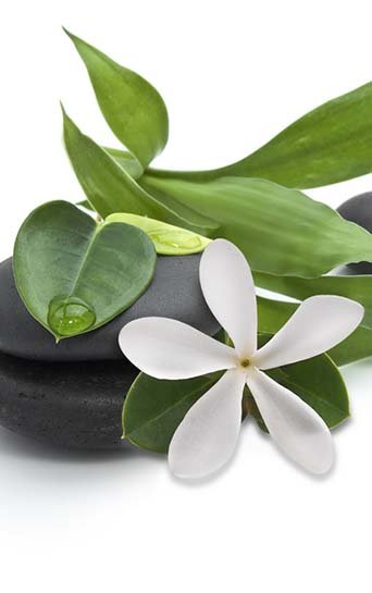 Day Spa Facial