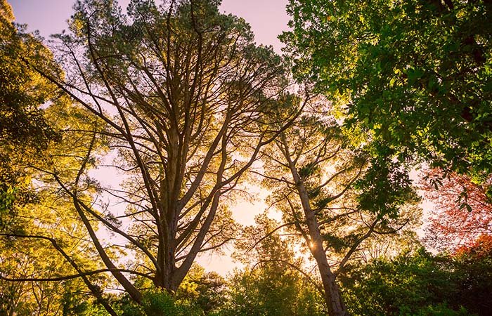 Arcadia Cottages – Dandenong Ranges