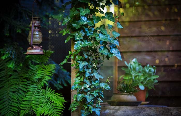 Arcadia Cottages – Dandenong Ranges