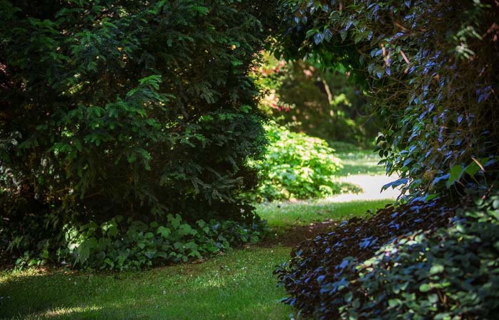 Arcadia Cottages – Dandenong Ranges