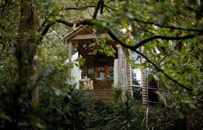Treehouse Cottage – Luxury Accommodation Dandenong