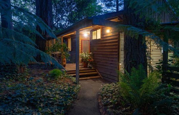 Forest Cottage - Dandenong Ranges Accommodation Olinda Melbourne ...